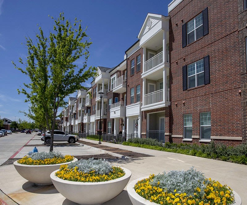 Photos and Video of McKinney Village in McKinney, TX